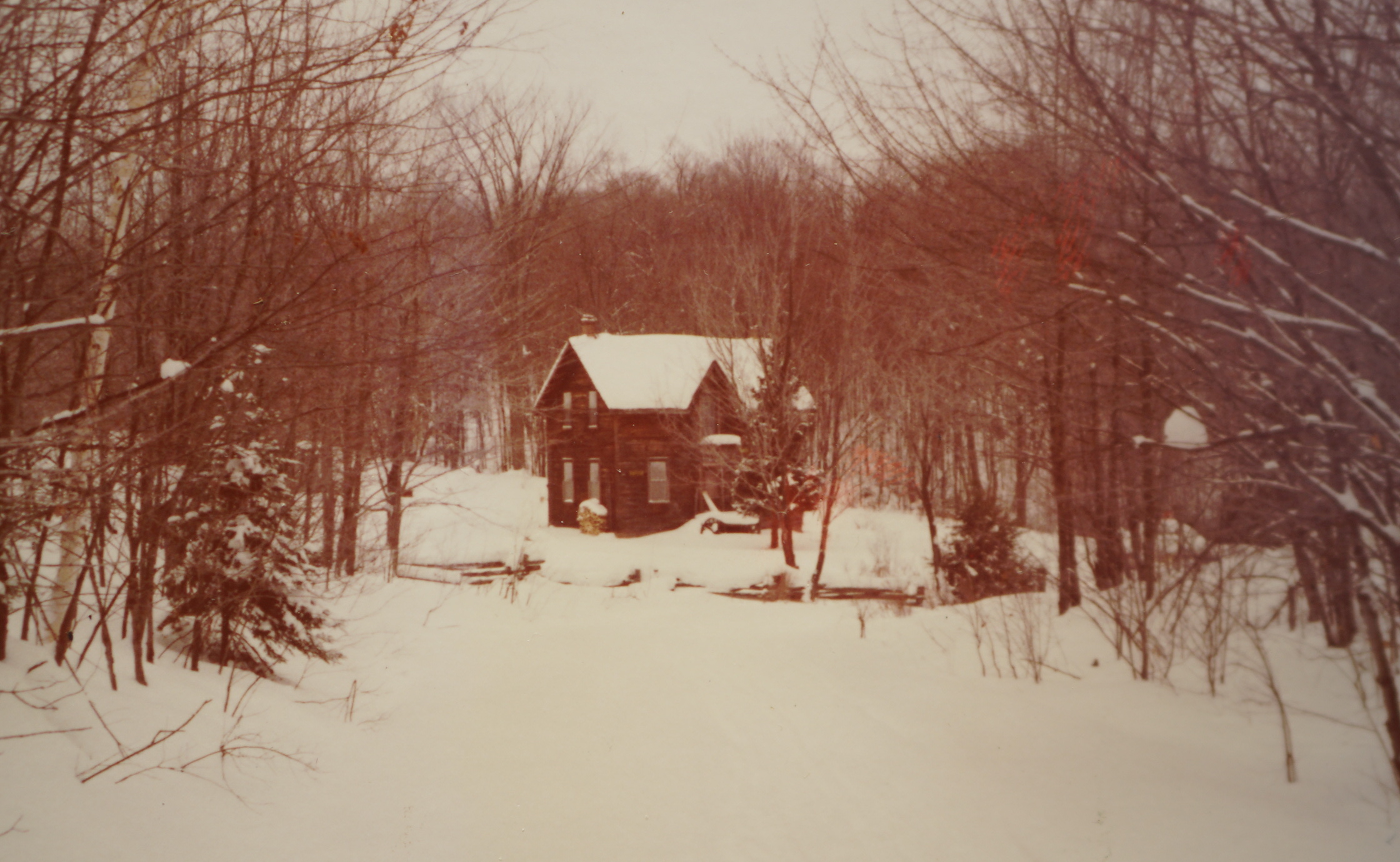 Vernacular Architecture in America: A Tradition Rooted in Adaptation